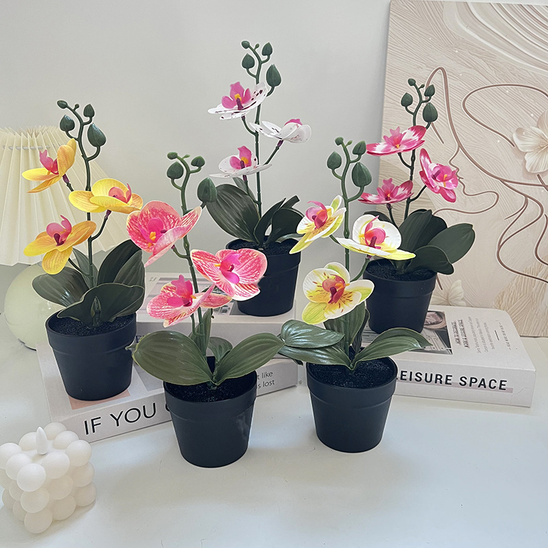 Photography Lighting Simulator Free - Light luxury black clay pot, butterfly