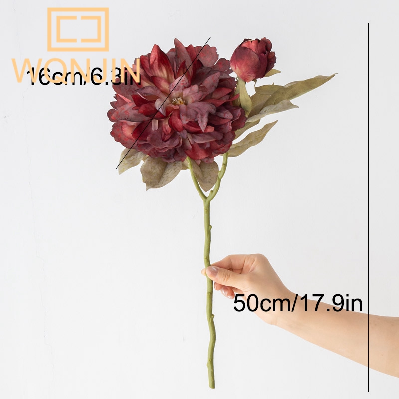 1PC Light Luxury 2 Head Big Pe - Photography Lighting Simulator Free ulasan dan harga