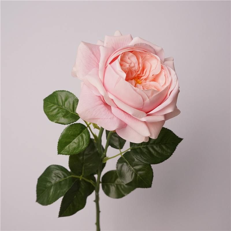 3pcs Moisturizing Rose Simulat - Photography Lighting Simulator Free ulasan dan harga