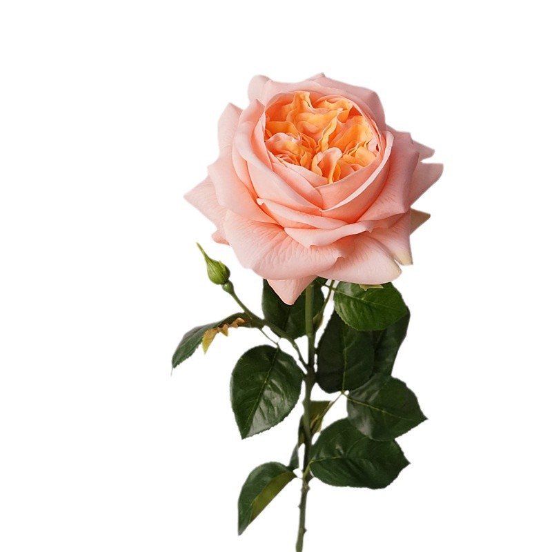 3pcs Moisturizing Rose Simulat - Photography Lighting Simulator Free ulasan dan harga