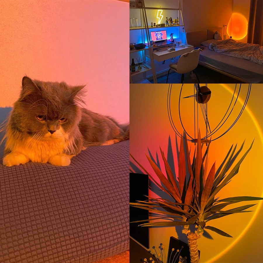 Sunset Lamp Night Light Multi  - Photography Lighting Mood ulasan dan harga