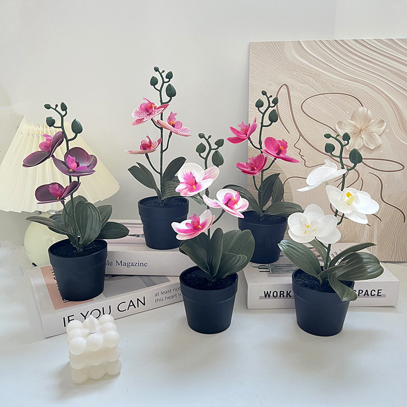 Light luxury black clay pot, b - Photography Lighting Simulator Free ulasan dan harga