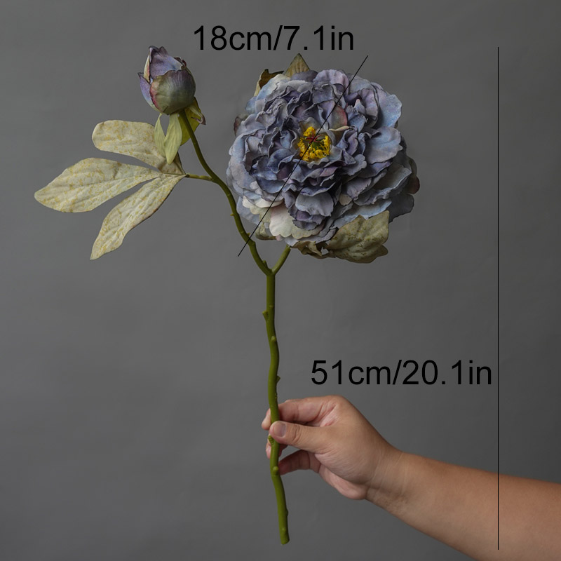1PC Light Luxury 2 Head Big Pe - Photography Lighting Simulator Free ulasan dan harga