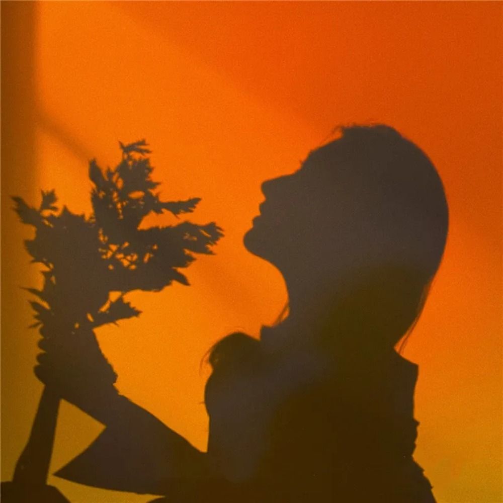 Mood Lighting RGB Sunset Lamp  - Photography Lighting Mood ulasan dan harga